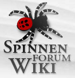 Spinnen Forum