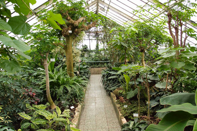 botanická záhrada UK